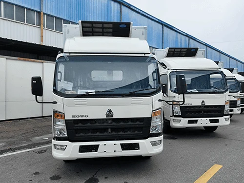 شاحنة ثلاجة SINOTRUK HOWO 4x2 شاحنة تبريد SINOTRUK 4x2-10