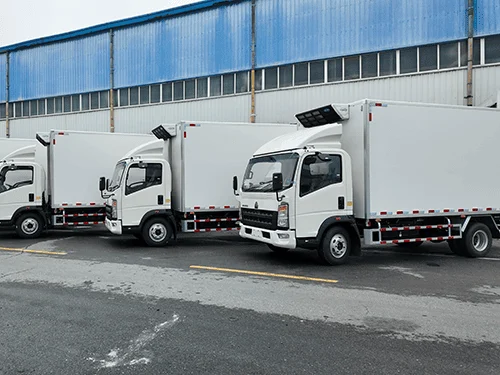 شاحنة ثلاجة SINOTRUK HOWO 4x2 SINOTRUK 4x2 - 8